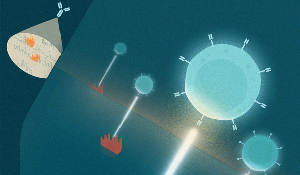 Novel rejuvenation therapy funded through an IP-NFT 